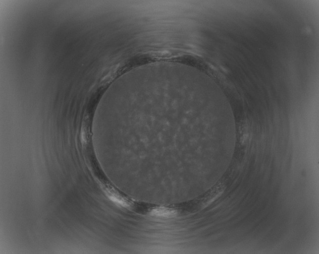 X0000081360515200701111525