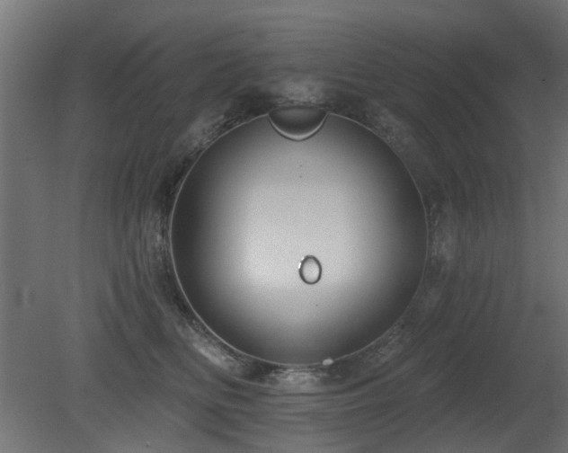 X0000081360518200701111525