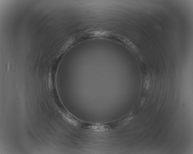 X0000081360524200701111525