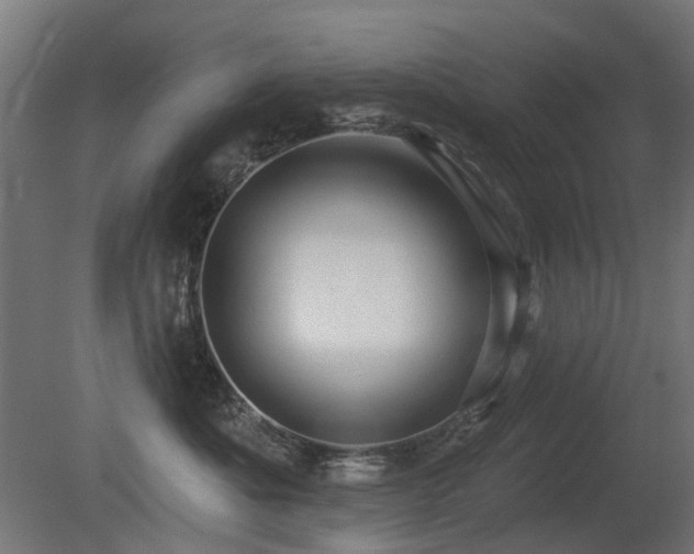 X0000081360525200701111525