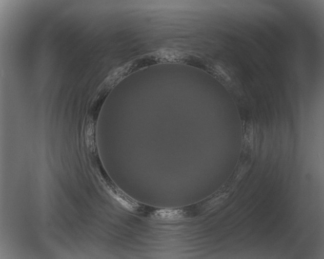 X0000081360526200701111525