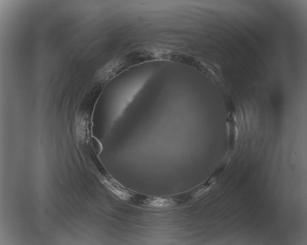 X0000081360527200701111525
