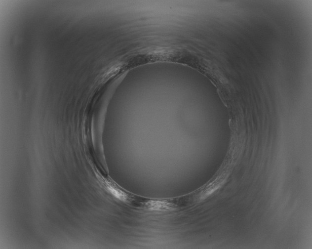 X0000081360528200701111525