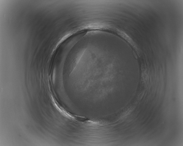 X0000081360530200701111524