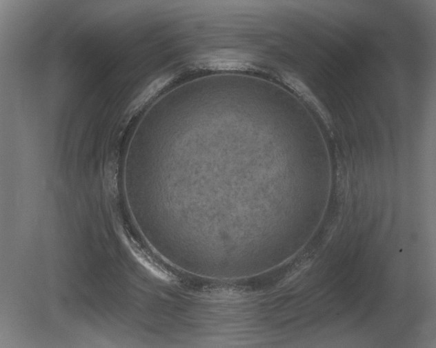 X0000081360533200701111524