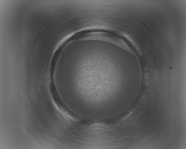 X0000081360536200701111524