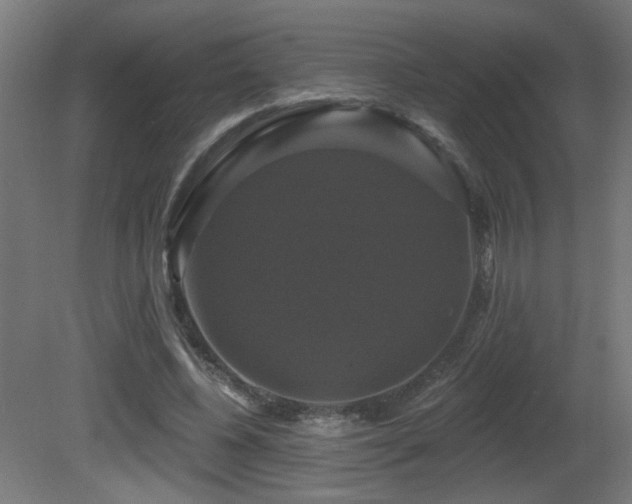 X0000081360540200701111524