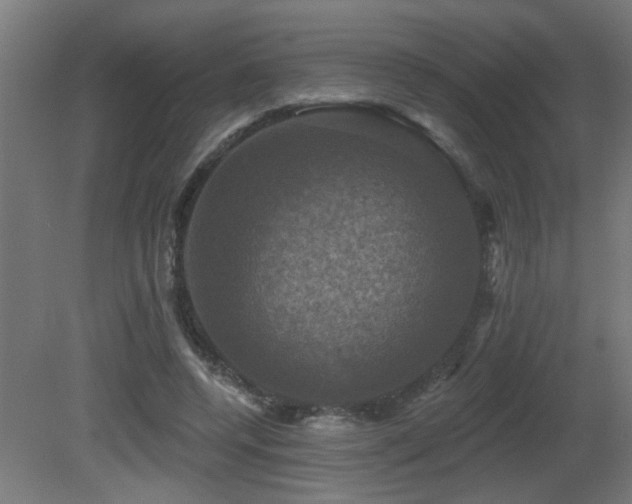 X0000081360544200701111524
