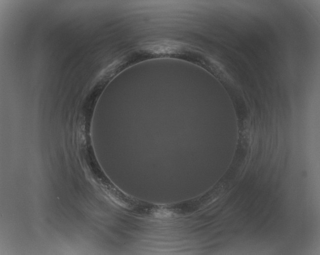 X0000081360547200701111524