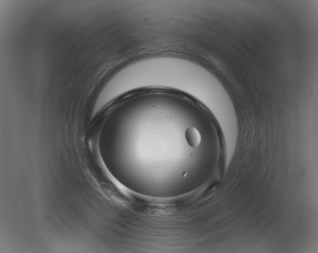 X0000081360548200701111524