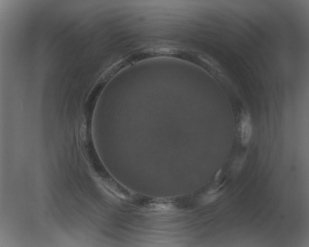 X0000081360552200701111524