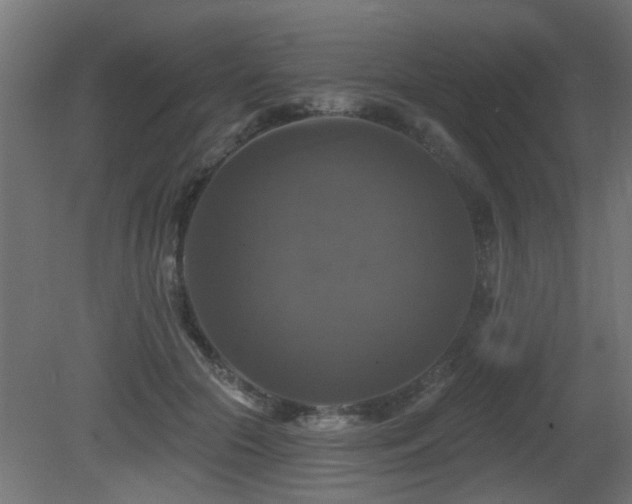 X0000081360553200701111524