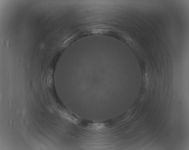 X0000081360554200701111524