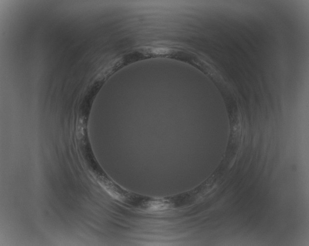 X0000081360555200701111524
