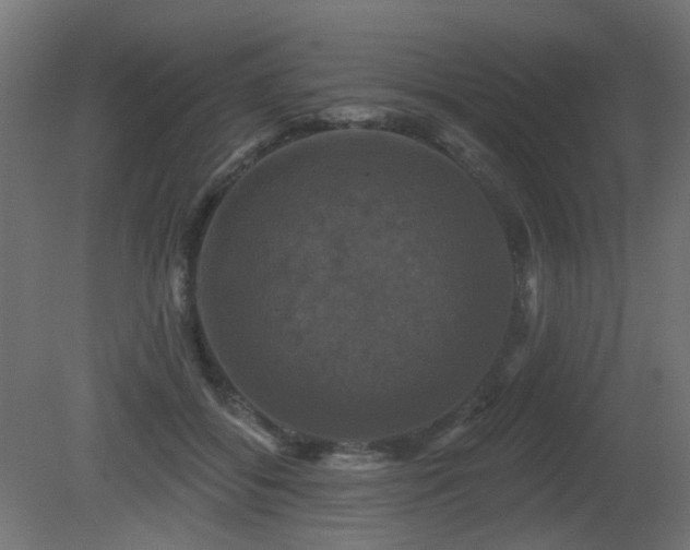 X0000081360556200701111524
