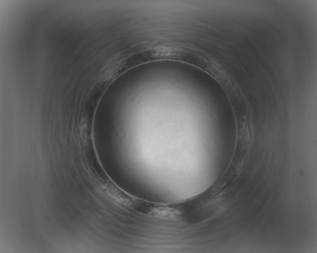 X0000081360557200701111524