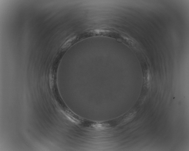 X0000081360558200701111524