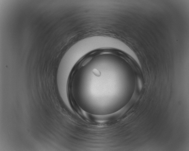 X0000081360559200701111524