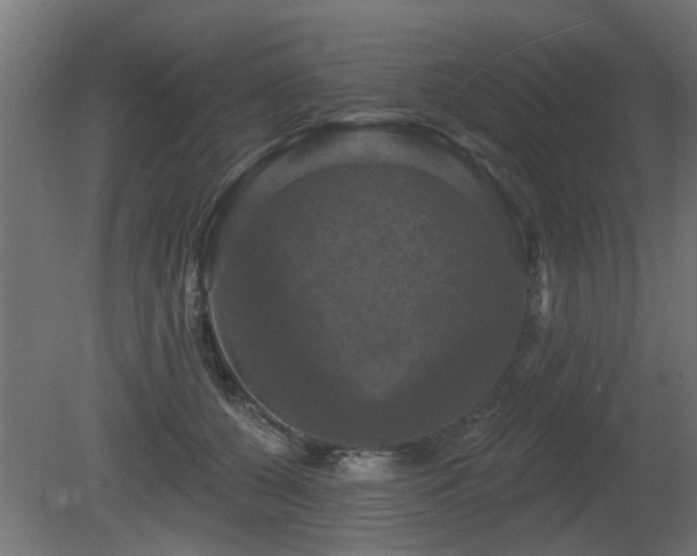 X0000081360560200701111524