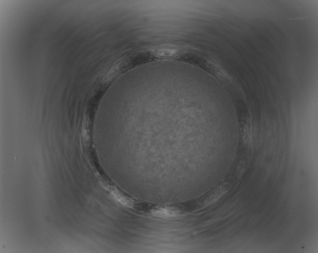 X0000081360561200701111524