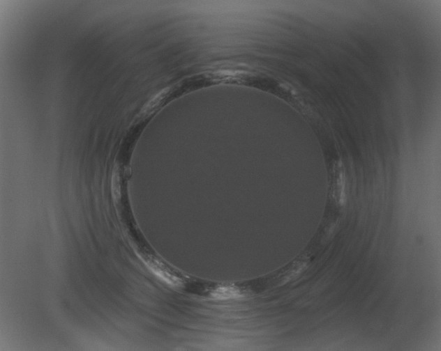 X0000081360562200701111524