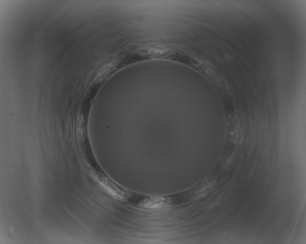 X0000081360563200701111524