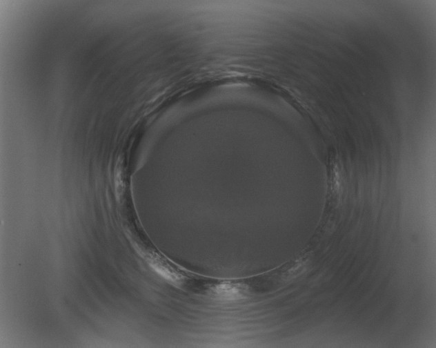 X0000081360566200701111524
