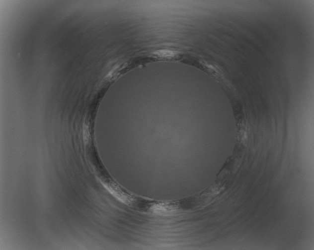 X0000081360568200701111524