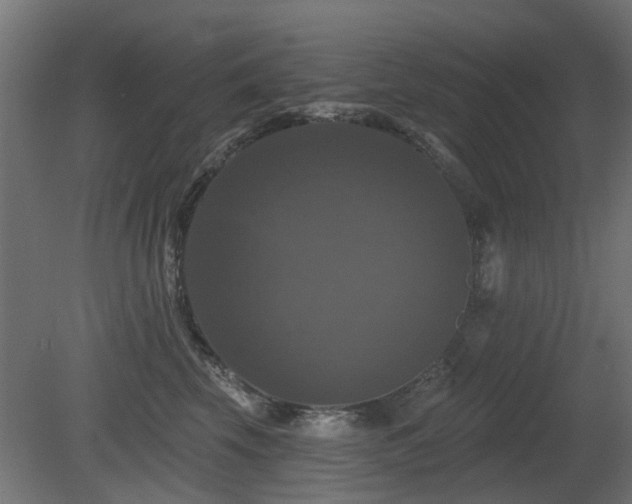 X0000081360569200701111524