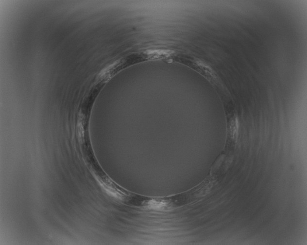 X0000081360570200701111524