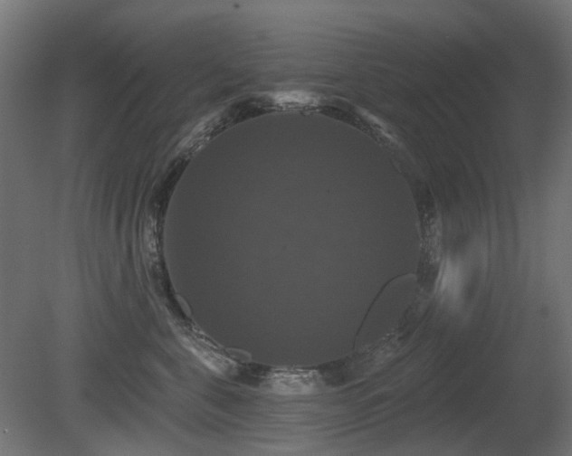 X0000081360571200701111525