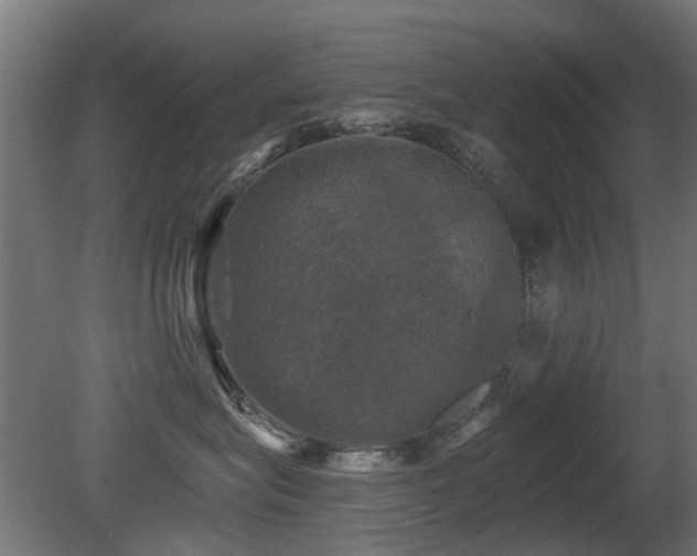 X0000081360575200701111525