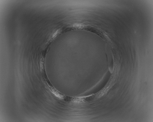 X0000081360576200701111525