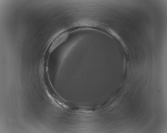 X0000081360580200701111524