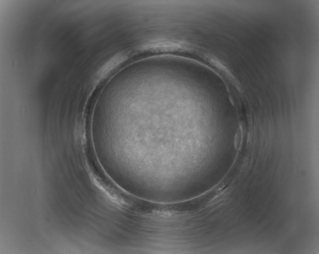 X0000081360582200701111524