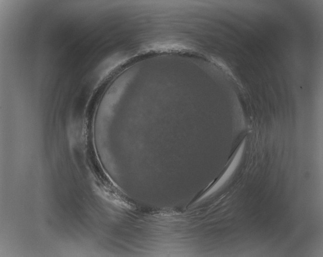 X0000081360583200701111524