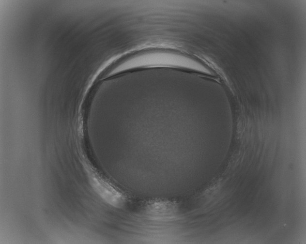 X0000081360584200701111524