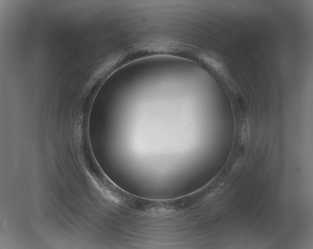 X0000081360586200701111524