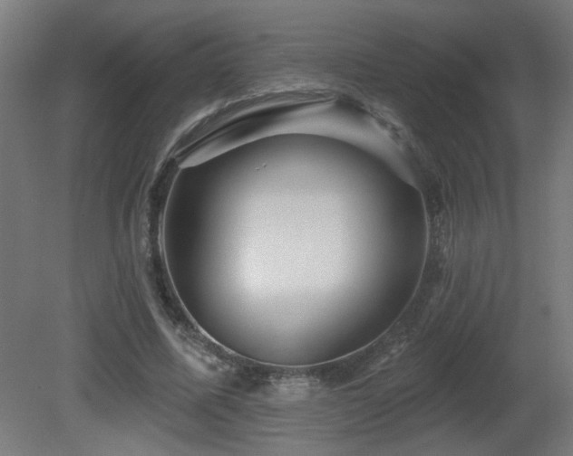 X0000081360587200701111524