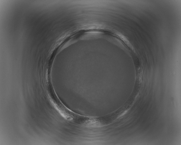 X0000081360589200701111524
