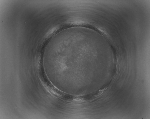 X0000081360591200701111523