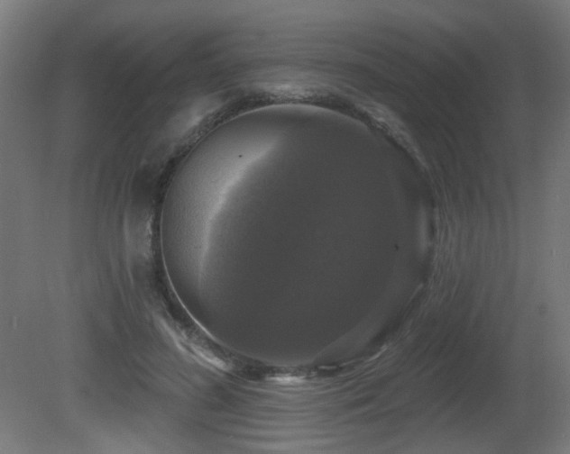 X0000081360596200701111523
