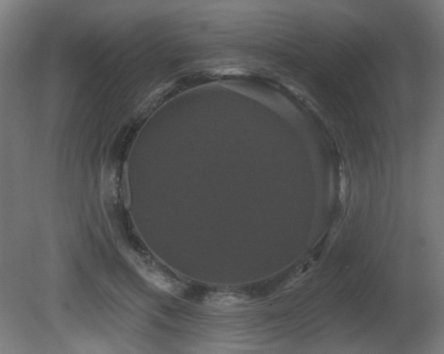 X0000081360597200701111523