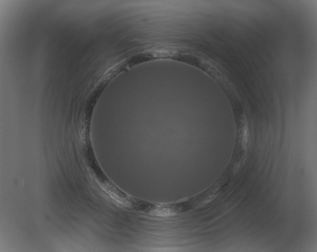X0000081360604200701111523
