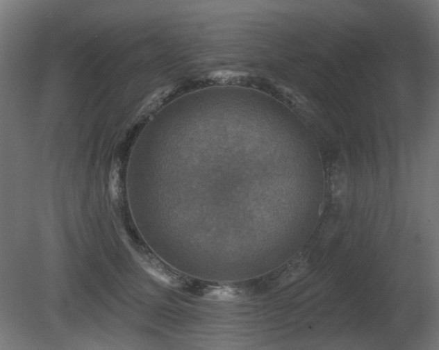 X0000081360611200701111523