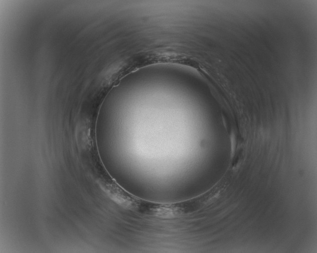 X0000081360615200701111523