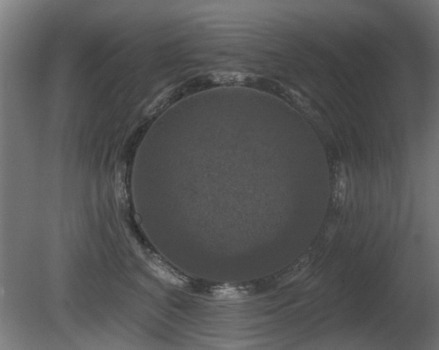 X0000081360616200701111523