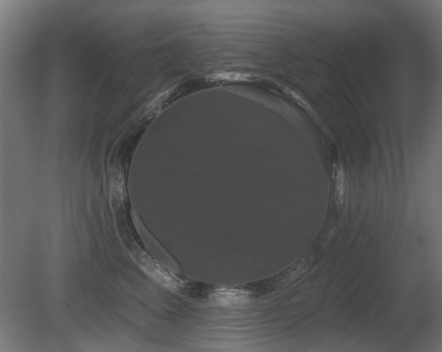 X0000081360617200701111523