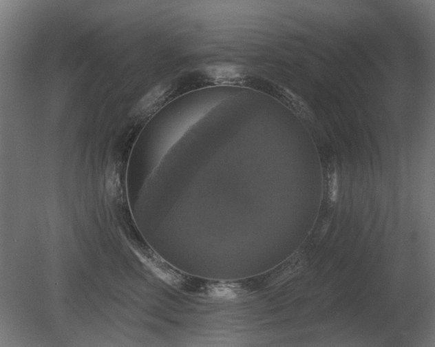 X0000081360618200701111523