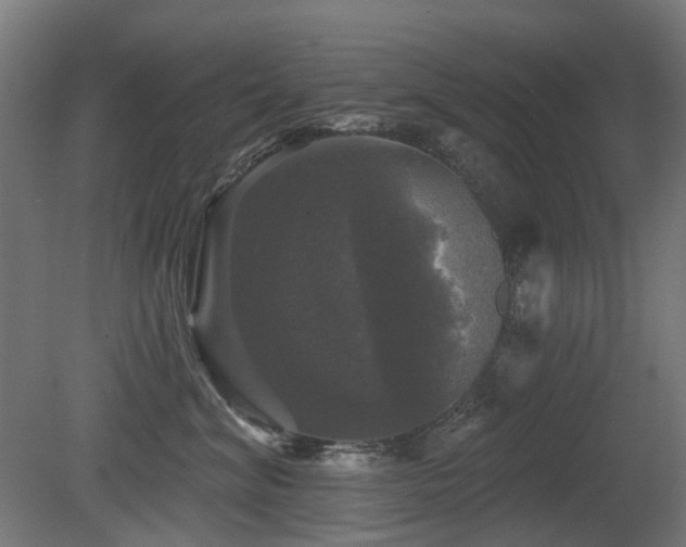 X0000081360620200701111523